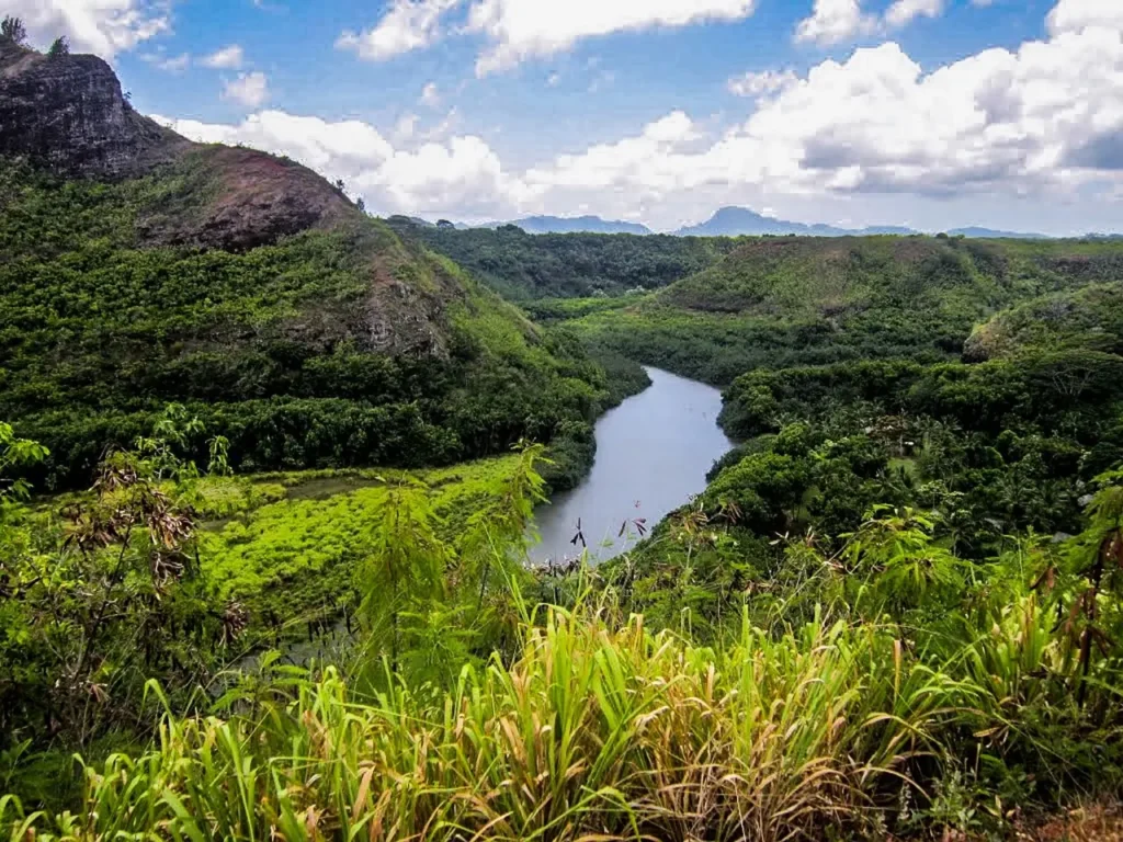 Kayak-the-Wailua-River