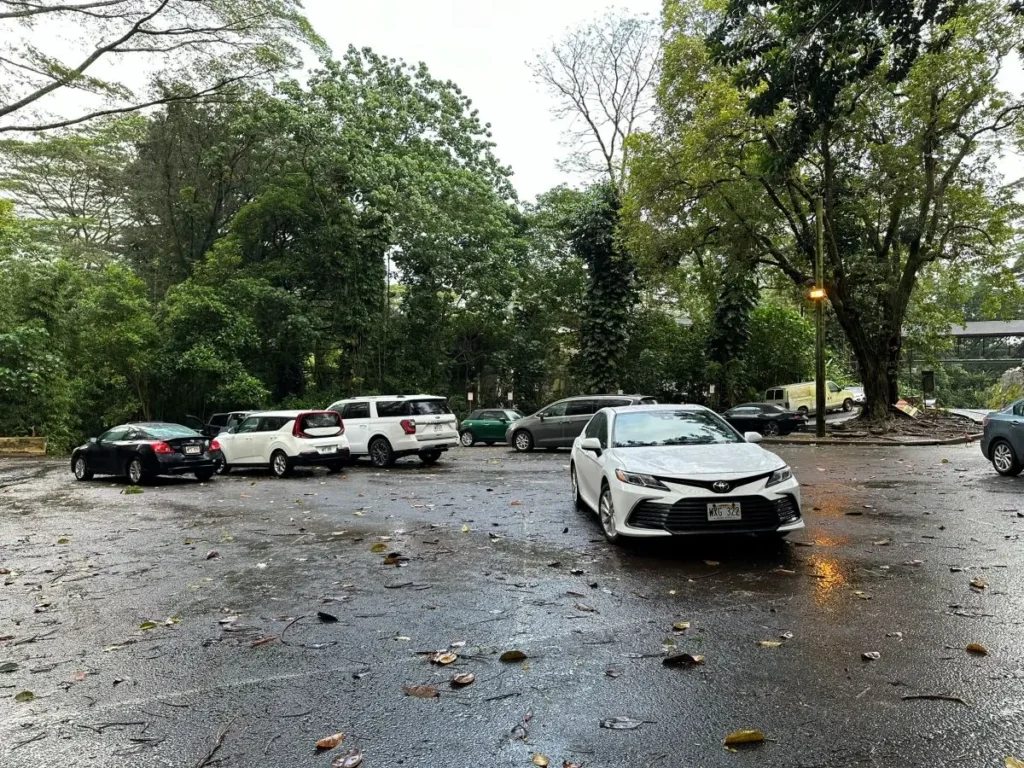 Manoa Falls Trail Oahu