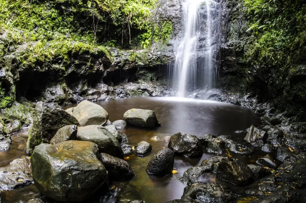 Manoa-Falls-Trail