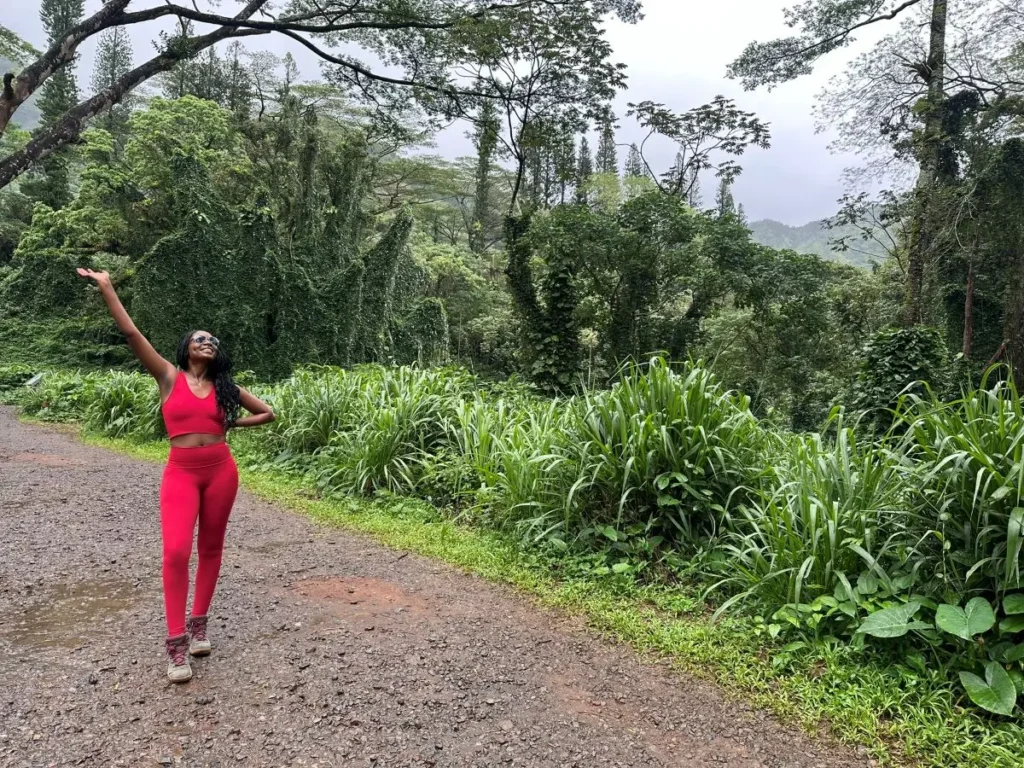 Manoa Falls Trails Oahu