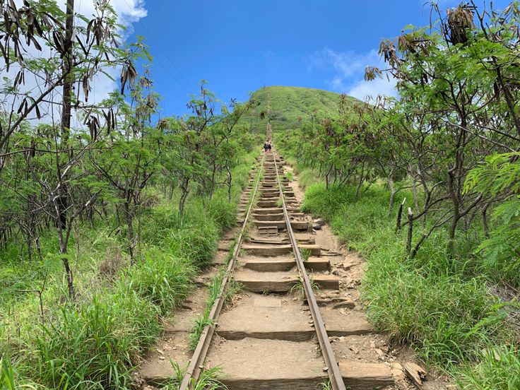 Honest Thoughts After the First Half
