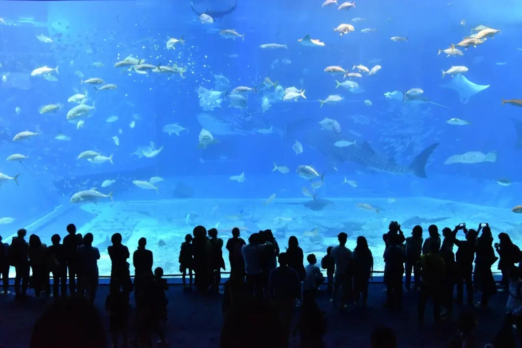 Waikiki-Aquarium