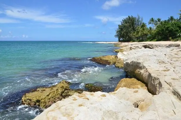 Papailoa Beach Oahu