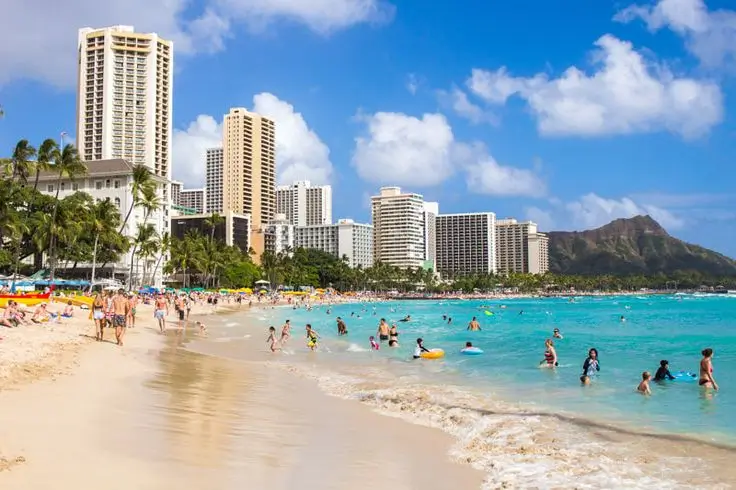 Sheraton Waikiki Reviews