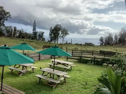 upcountry maui