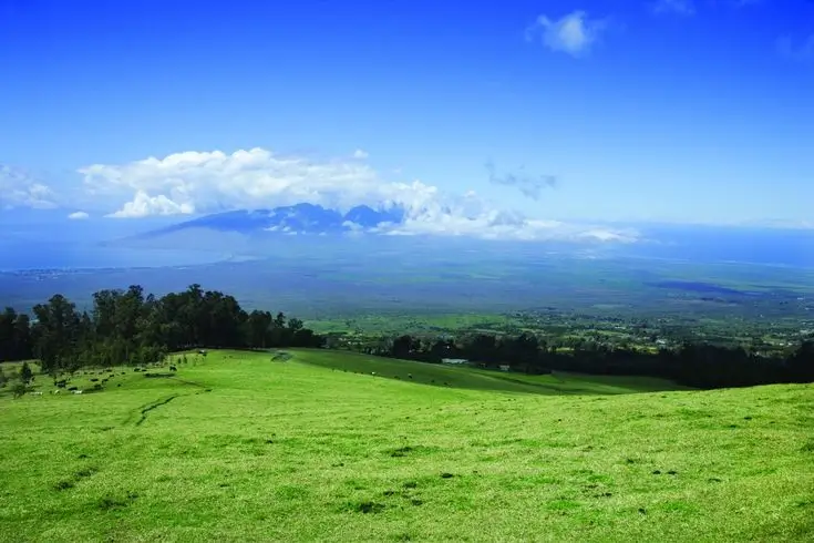 upcountry maui