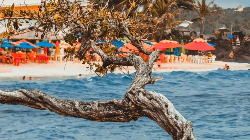 best-happy-hour-waikiki