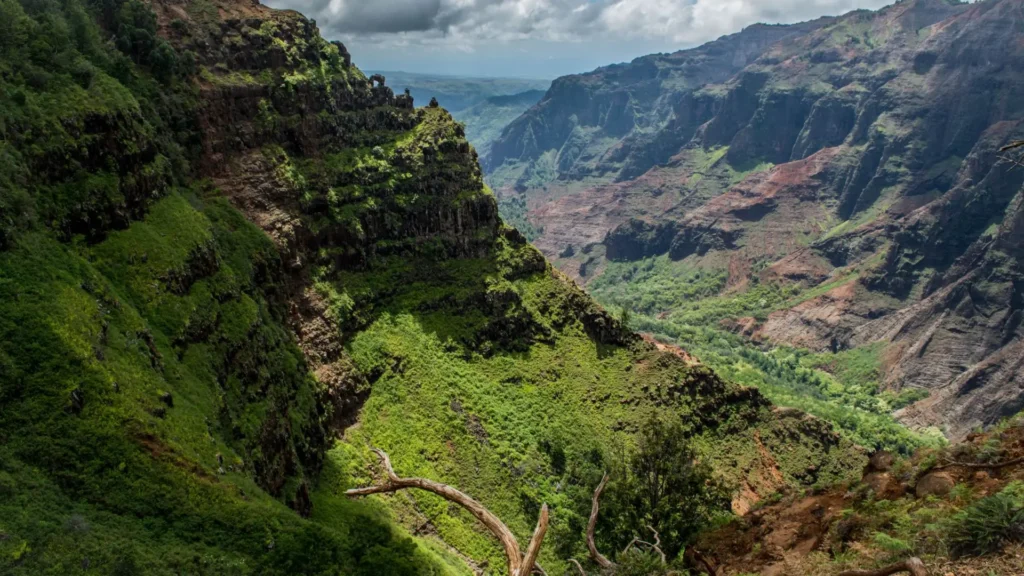 waimea-falls-hike