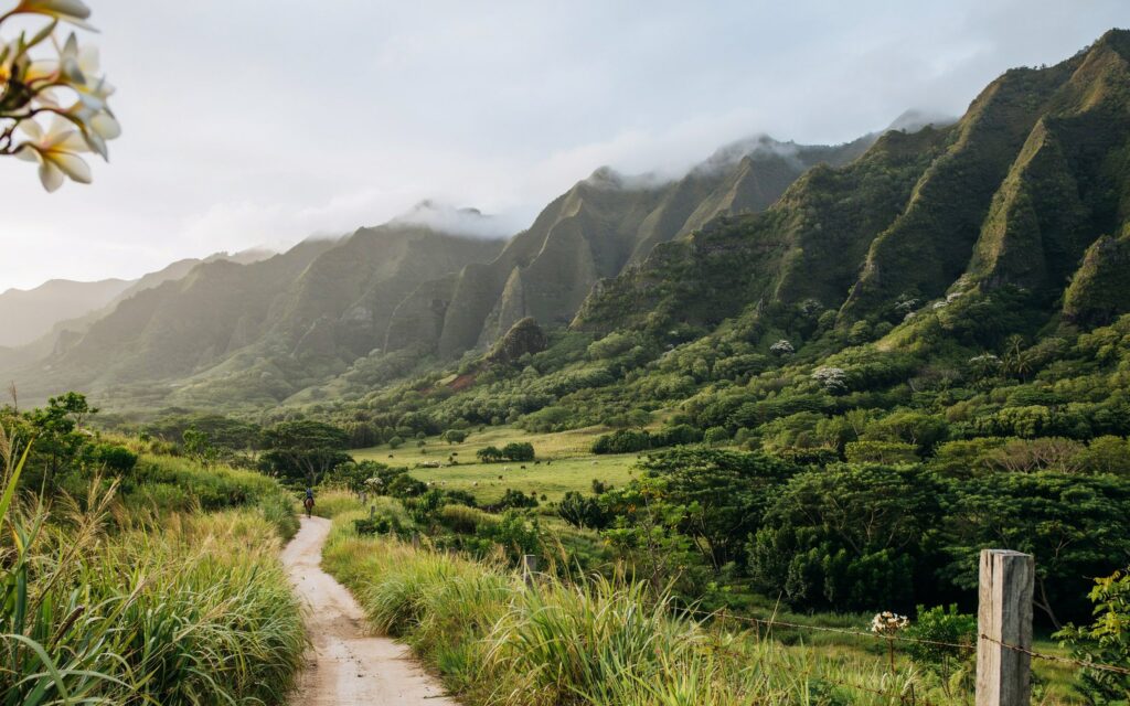 Things to Know Before Visiting Oahu