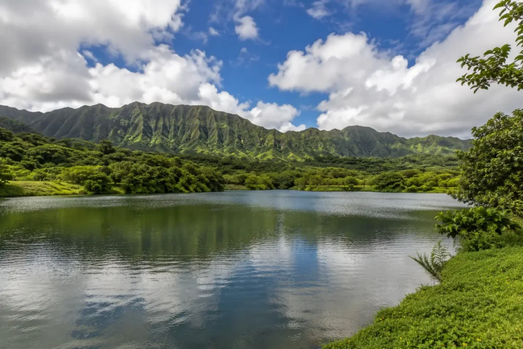 The Lake at Hoomaluhia: Loko Waimaluhia
