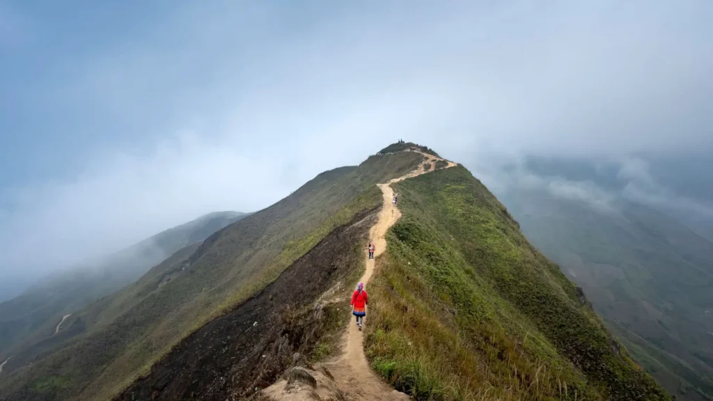 wiliwilinui-ridge-trail