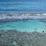 hanauma-bay-snorkeling