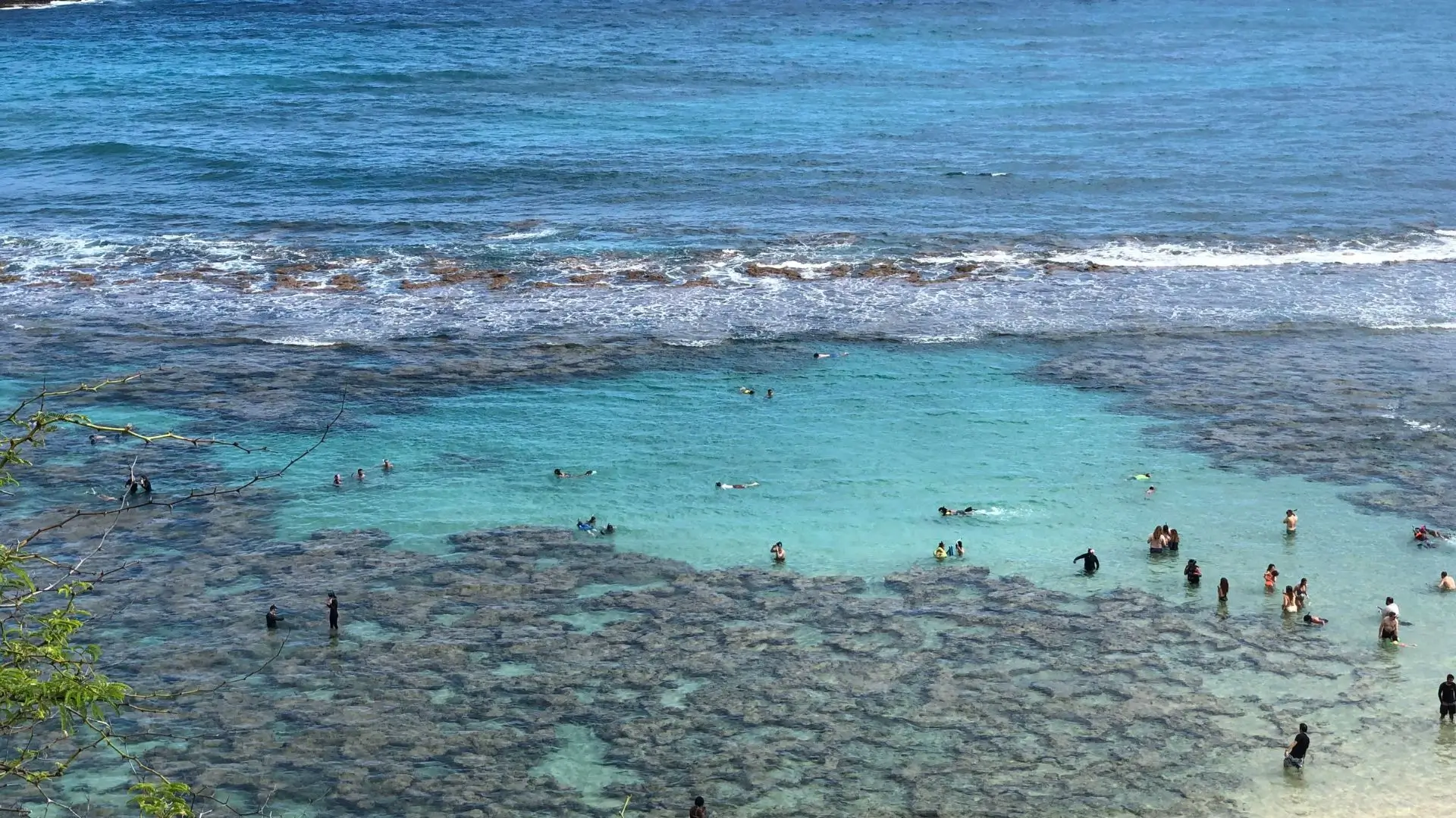 hanauma-bay-snorkeling
