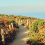 kaena-point-trail-guide