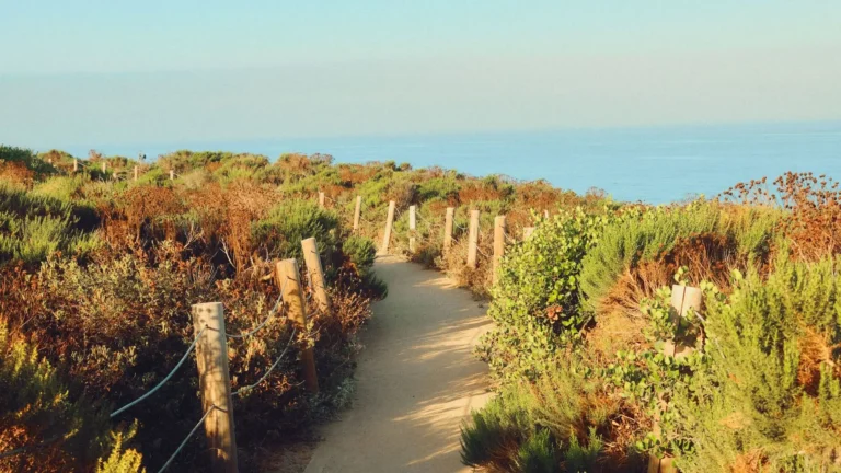 kaena-point-trail-guide