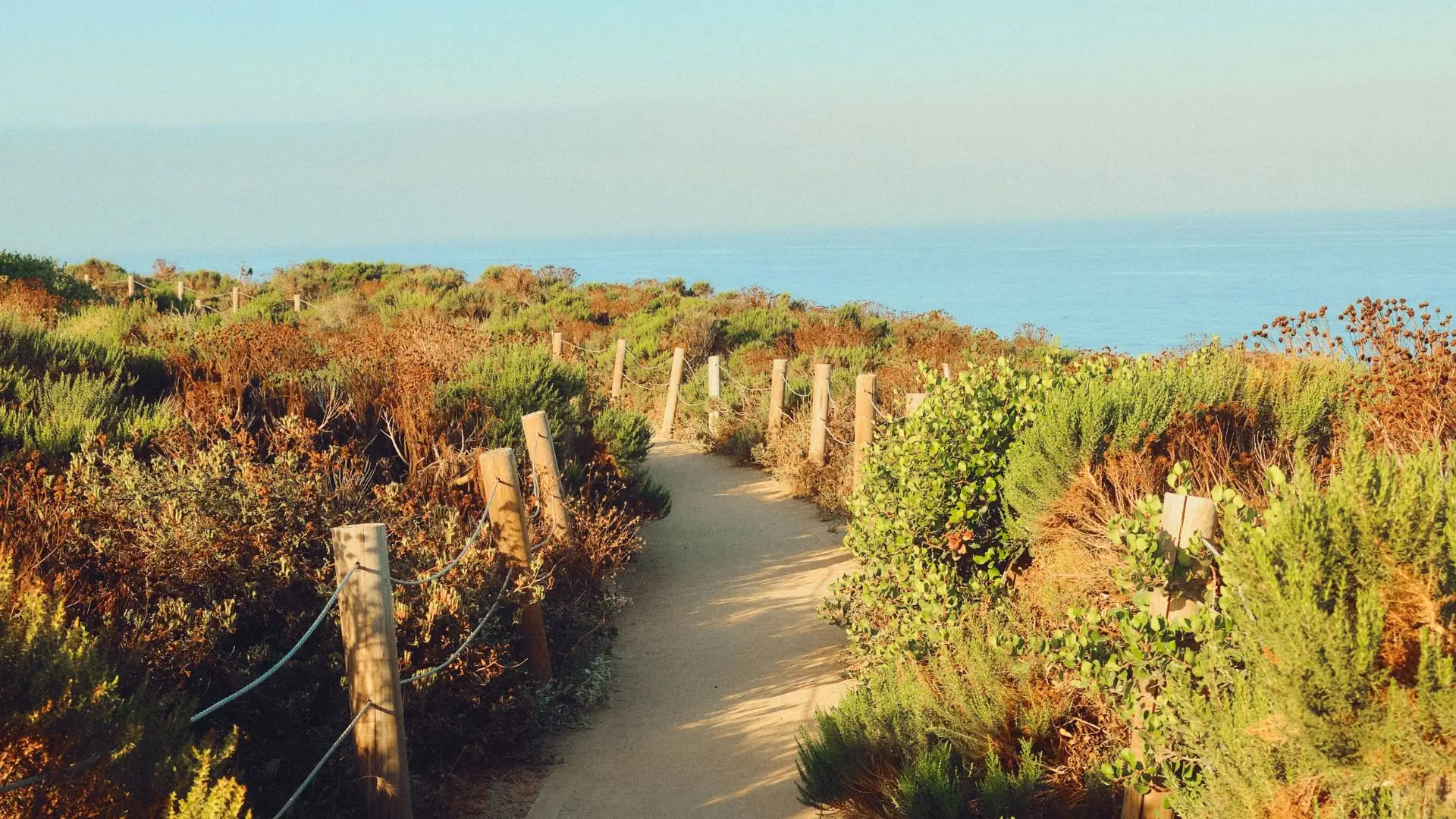 kaena-point-trail-guide
