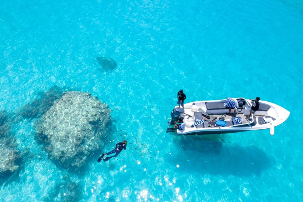 Turtle Canyon Snorkel Semi Private Boat Tours