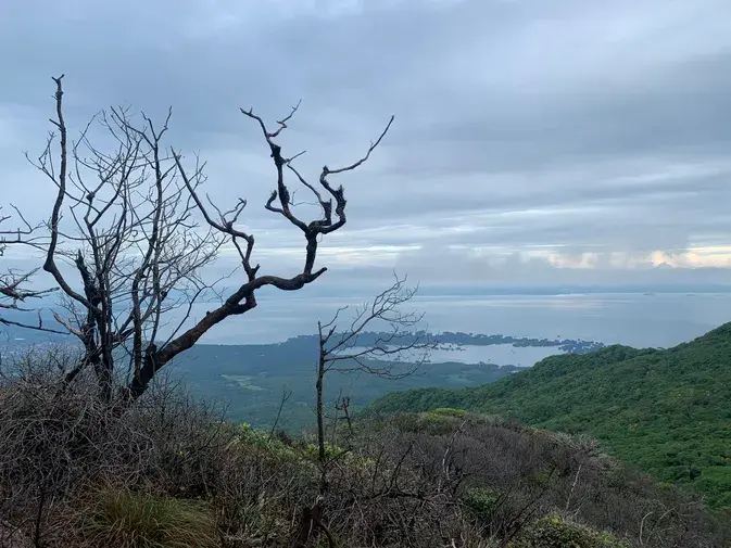 Aiea Loop Trail Weather