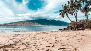 what-is-the-time-in-hawaii-maui