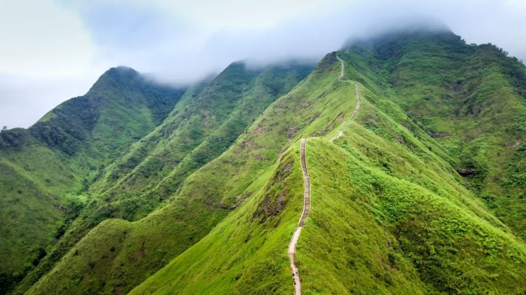 wiliwilinui-ridge-trail-oahu
