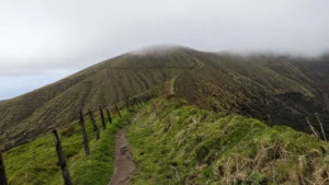 wiliwilinui-ridge-trail