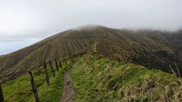 wiliwilinui-ridge-trail