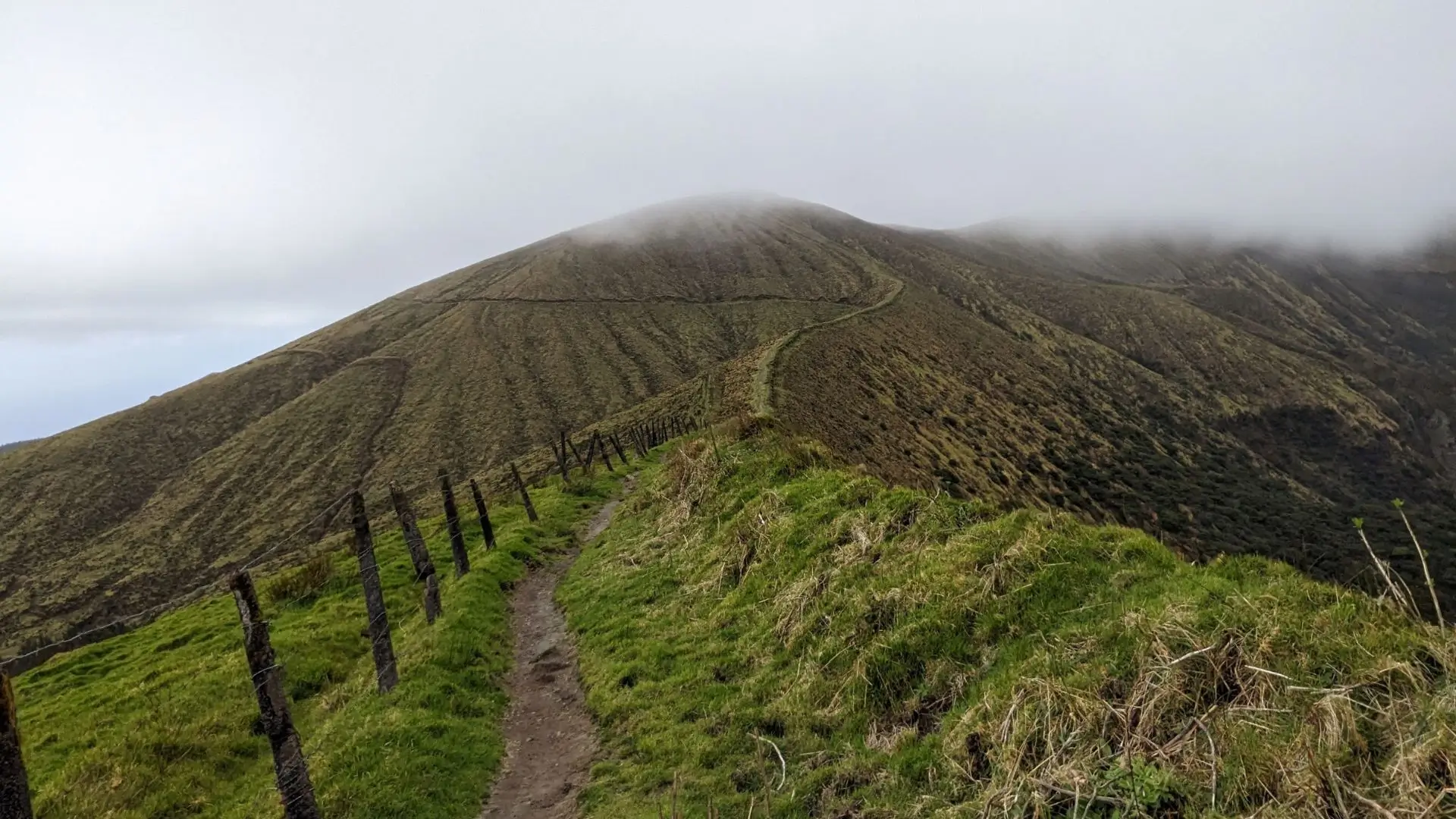 wiliwilinui-ridge-trail