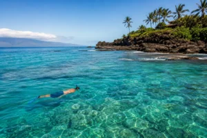 Best Places to Snorkel in Hawaii: A Complete Island-by-Island Guide