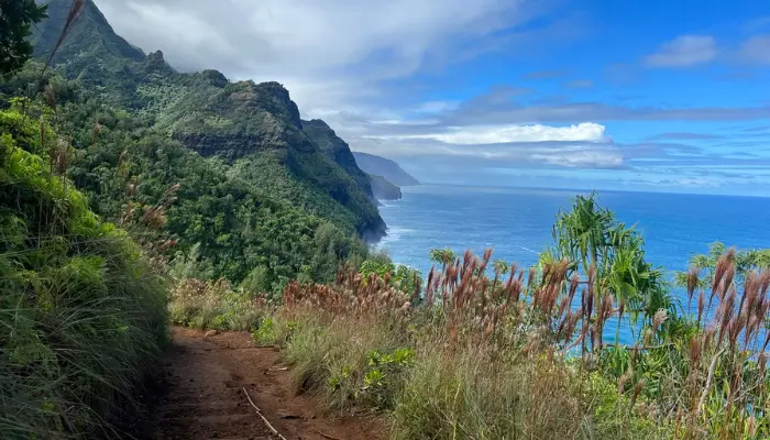 Hawaii Ocean and Hiking