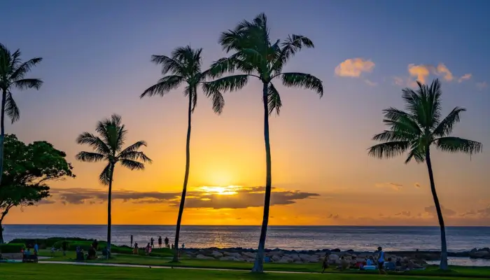 Photography and Sunset
